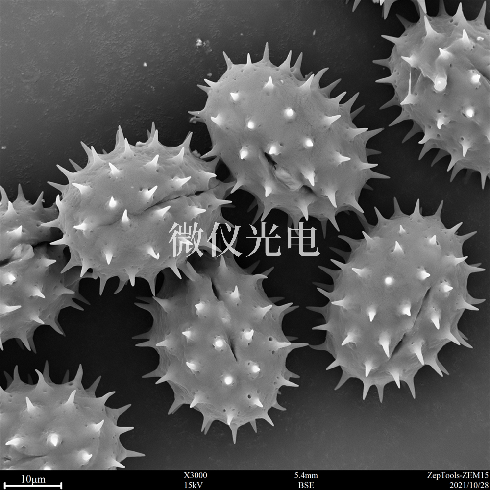 掃描電鏡測樣，要注意什么？